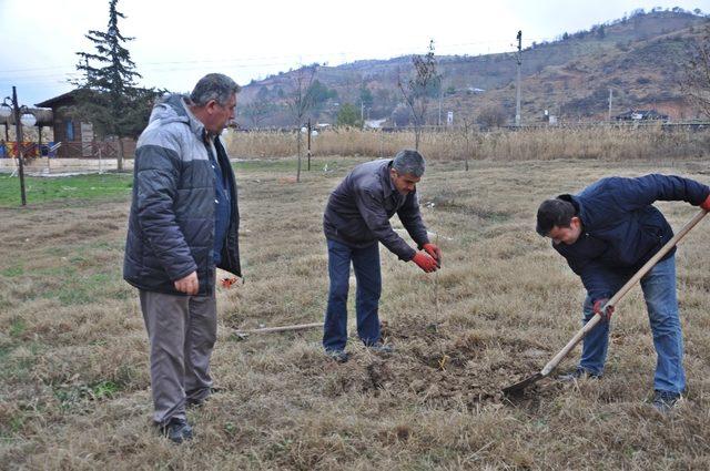 Doğa Parkı ağaçlandırılıyor