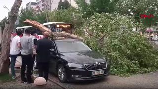 Diyarbakır ve Batman’da fırtına; çatı ve ağaçlar, araçların üzerine devrildi