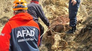 Sivas'ta ineğiyle çamura saplanan yaşlı adamı AFAD ekipleri kurtardı