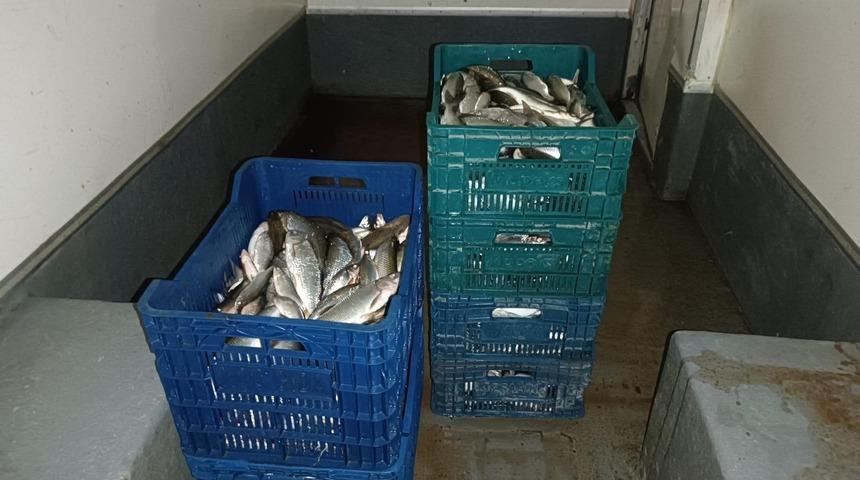 İznik Gölü'nde kaçak avcılığa jandarma operasyonu