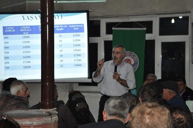 Bayramiç sütünün marka olması yönünde alt yapı çalışmaları başladı