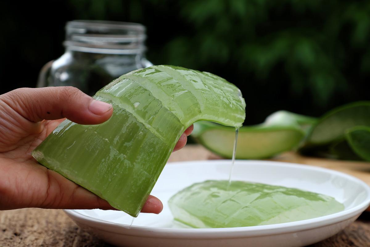 Aloe vera yze srlr m? Aloe vera yze srlrse ne olur? Aloe verann  yze faydalar