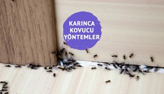 Evde karınca kovucu yöntemler…