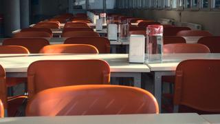 Hindistan'da skandal!  Okul yemeğinde ölü yılan çıktı, öğrenciler zehirlendi! 