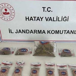 Son Dakika Haber Görseli