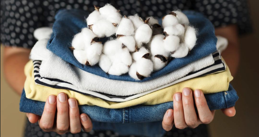 Abartısız ve şık… “Quiet luxury” akımı nedir? Tarzımıza nasıl uygularız? 1