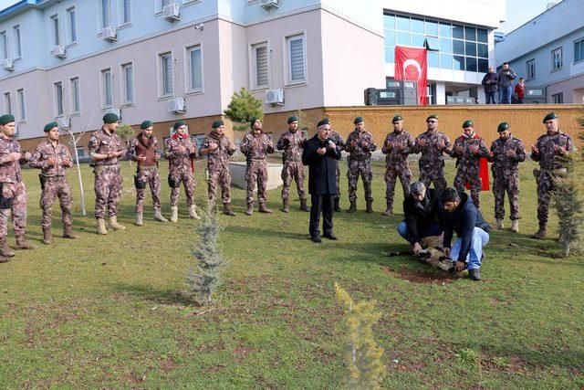 Bingöl'de özel harekâtçı polisler, dualarla Afrin'e uğurlandı