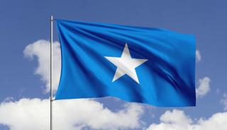 Somali'de Eş-Şebab'a operasyon