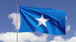 Somali'de Eş-Şebab'a yönelik operasyonda 29 örgüt üyesi etkisiz hale getirildi