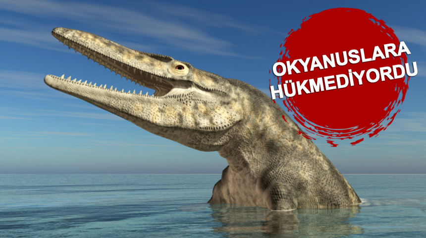 Dev deniz canavarı kalıntısı bulundu! 66 milyon yıl önce yaşamış, 9 bin kiloya ulaşabiliyor...