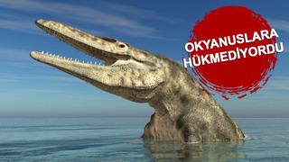 Dev deniz canavarı kalıntısı bulundu! 66 milyon yıl önce yaşamış, 9 bin kiloya ulaşabiliyor...