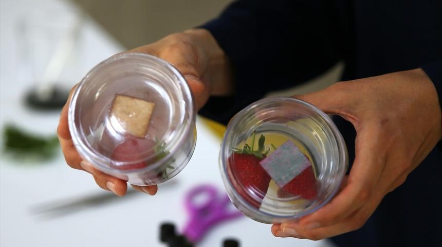 Mersin'de deniz yosunundan ürünlerin tazelik durumunu gösteren "akıllı etiket" geliştirildi