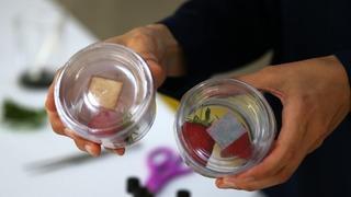 Mersin'de deniz yosunundan ürünlerin tazelik durumunu gösteren akıllı etiket geliştirildi