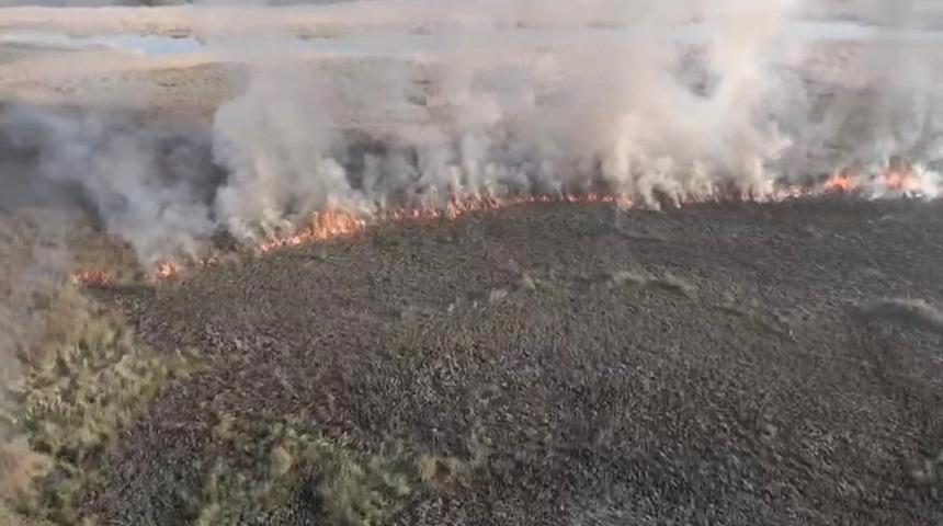 Sakarya'da korkutan yangın! Arazide yakılan ateş yayıldı: 60 dönüm arazi zarar gördü