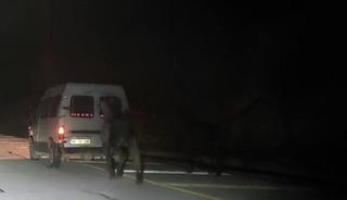 Kamyonetin arkasına bağlayıp kilometrelerce koşturdu