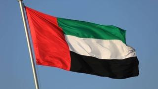 BAE: İsrail'in, Suriye'ye yönelik saldırıları uluslararası hukukun ihlalidir