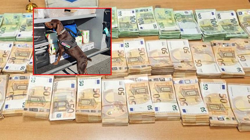 Dedektör köpekten kaçamadı: Binlerce euro gizli bölmede ele geçirildi!