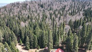 Drone ile görüntülendi! Bartın ve Karabük yaylalarında ilkbahar güzelliği