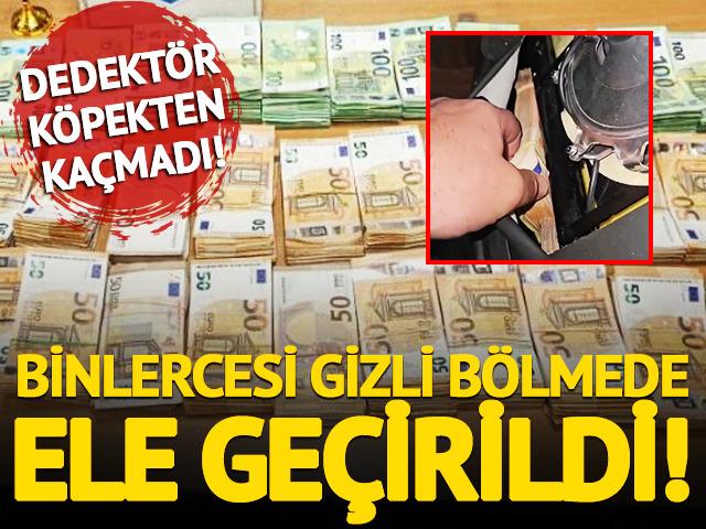Dedektör köpekten kaçamadı: Binlerce euro gizli bölmede ele geçirildi!