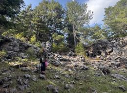 1250 TL'ye satılıyor! Akın ettiler 'Diplerini tek tek arıyoruz' İlçede insanların geçim kaynağı