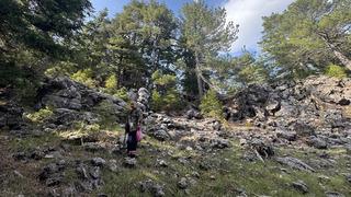 1250 TL'ye satılıyor! Akın ettiler 'Diplerini tek tek arıyoruz' İlçede insanların geçim kaynağı