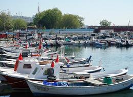 Tekirdağlı balıkçılar istavrit umuduyla denize açıldı