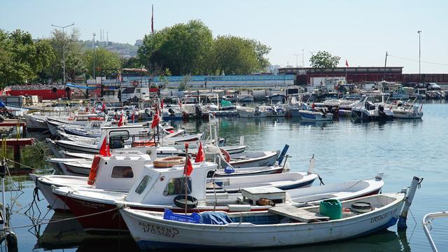 Tekirdağlı balıkçılar istavrit umuduyla denize açıldı
