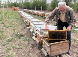 Erzincan'da soğuk geçen nisan ve geciken bahar arıcıları endişelendiriyor