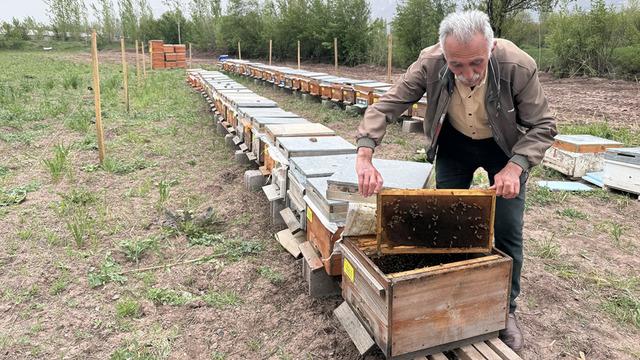 Erzincan'da soğuk geçen nisan ve geciken bahar arıcıları endişelendiriyor