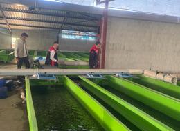 Erzincan'da su ürünlerinde üretim kapasitesi her geçen gün artıyor