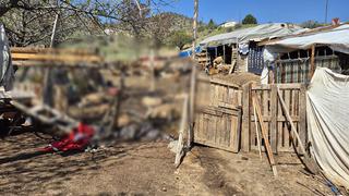 Kırıkkale'de kurtların saldırdığı değerlendirilen 25 küçükbaş telef oldu