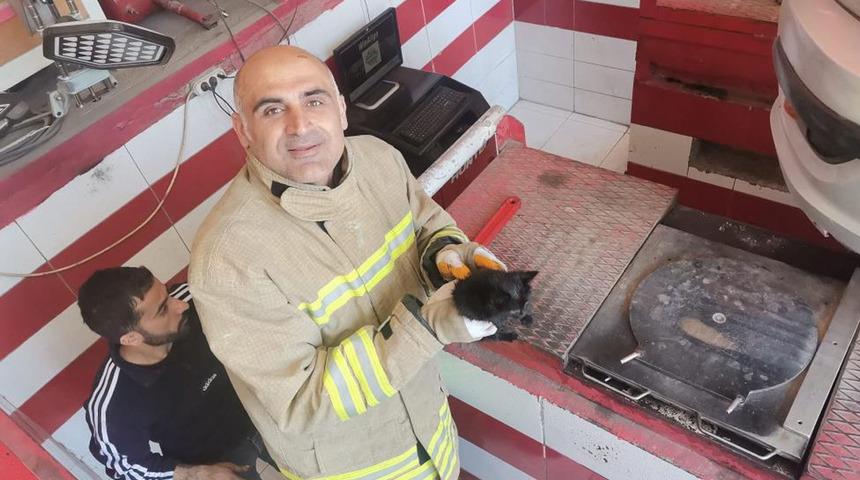 Otomobilin motor bölümüne sıkışan yavru kedi böyle kurtarıldı