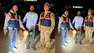 Çalınan 4 büyükbaş hayvan sahibine teslim edildi