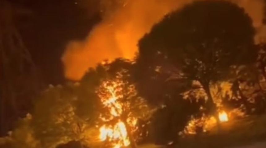 Sultangazi’de ormanlık alanda korkutan yangın... Asgari alana yakınlığı panik yarattı!