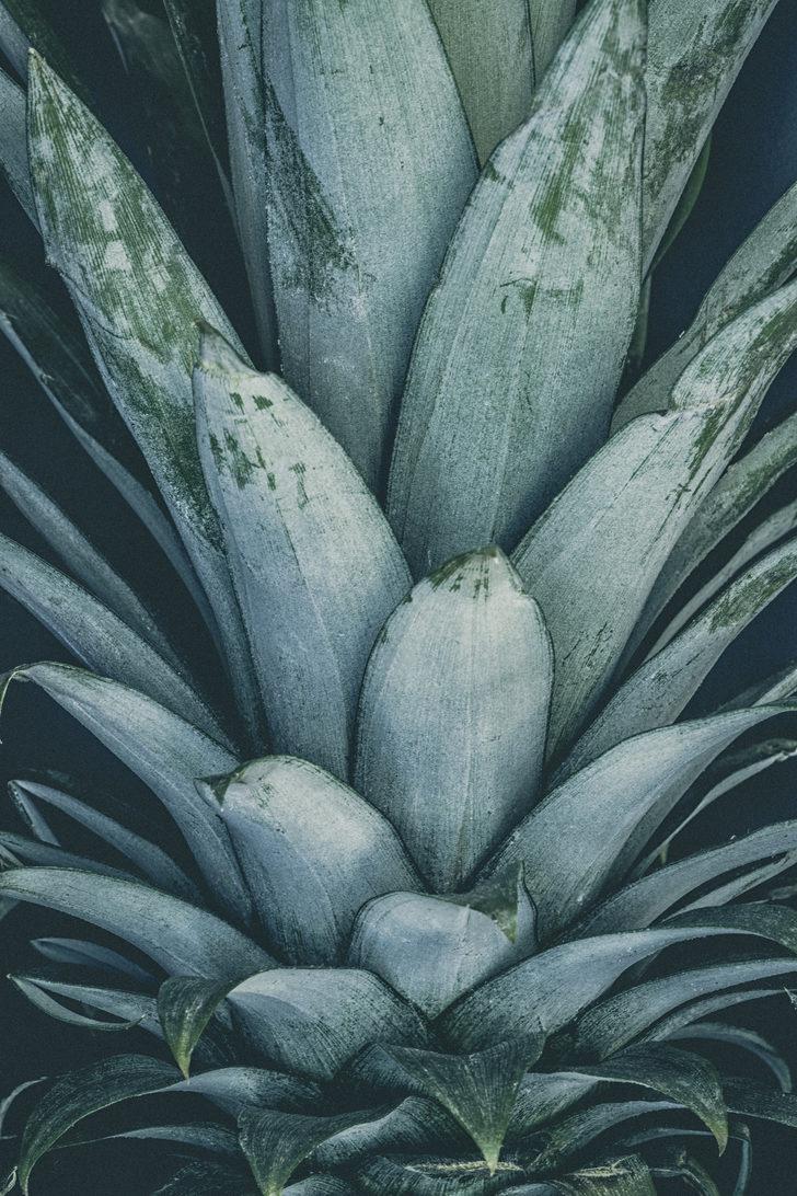 Ananas kabuklarındaki bromelayin mucizesi G1