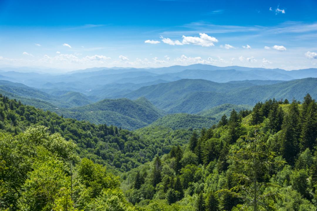 iStock-543180862
