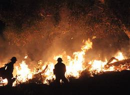 Bakan Yumaklı yangın tedbirleri hakkında konuştu!