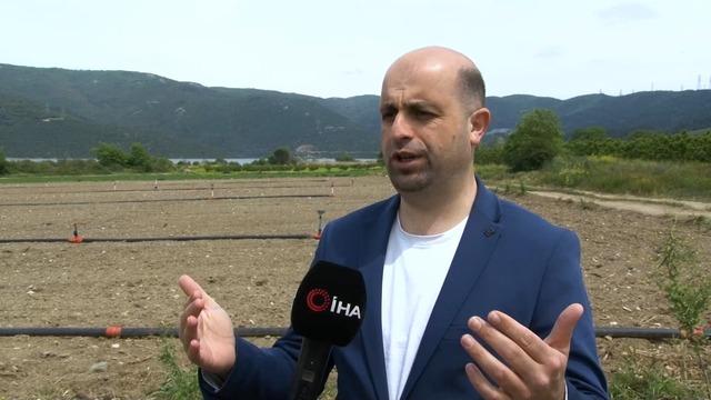 Bakanlık kararı vermişti, 2 yıl işlenmezse kiraya verilecek! 'Araziye el konuldu' deniyordu ama...