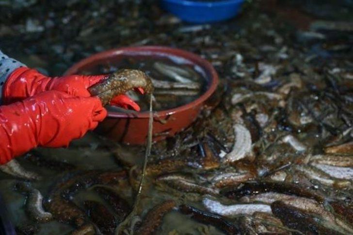 Çinliler yemeye bayılıyor: İktidarsızlığı bir numaralı ilacı G2