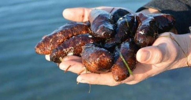 Çinliler yemeye bayılıyor: İktidarsızlığı bir numaralı ilacı G3