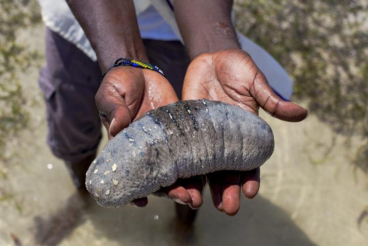 Çinliler yemeye bayılıyor: İktidarsızlığı bir numaralı ilacı G5