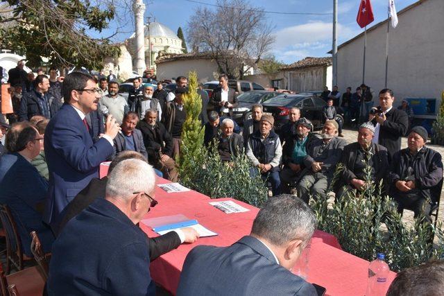 20 bin zeytin fidanı toprakla buluşacak