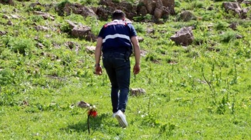 Jandarma başında nöbet tutuyor! Yılda birkaç kez açıyor, koparmanın cezası ise 557 bin 212 TL...