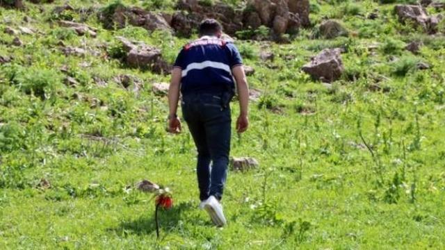 Jandarma başında nöbet tutuyor! Yılda birkaç kez açıyor, koparmanın cezası ise 557 bin 212 TL...