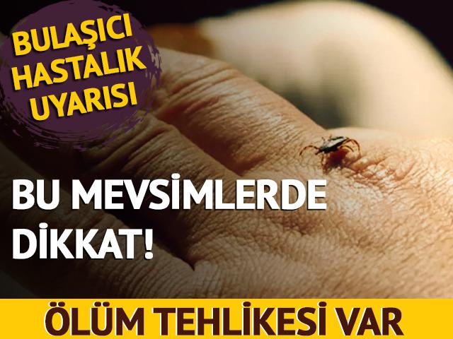 Kene ısırığına dikkat! Kırım kongo kanamalı ateşin belirtileri nedir? Keneden nasıl korunabiliriz? Uzmanlardan uyarılar...