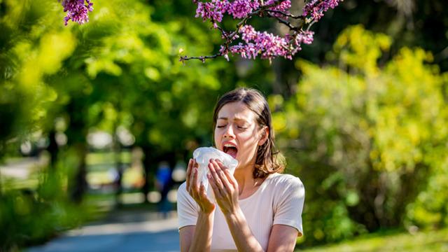 Her yıl 250 bin ölüme yol açıyor! Bahar mevsiminde astım ve alerjilere dikkat: Dünyada 300 milyon kişide görülüyor