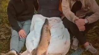 Tuttuğu 14 kiloluk turnayı bebek gibi kucağında salladı