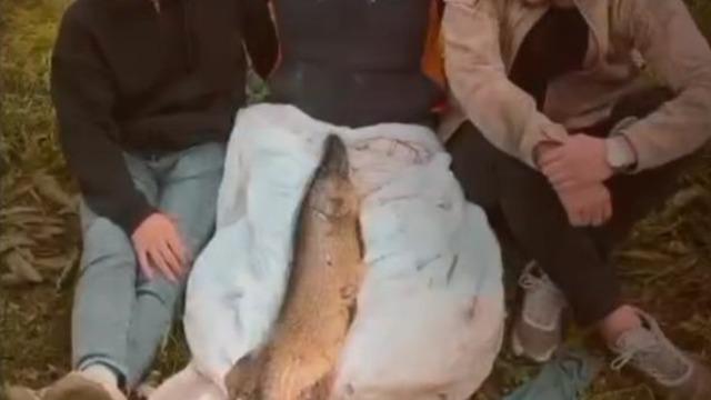 Tuttuğu 14 kiloluk turnayı bebek gibi kucağında salladı