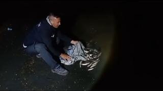 Van'da kaçak inci kefali avlayan kişiye 59 bin 394 lira ceza verildi