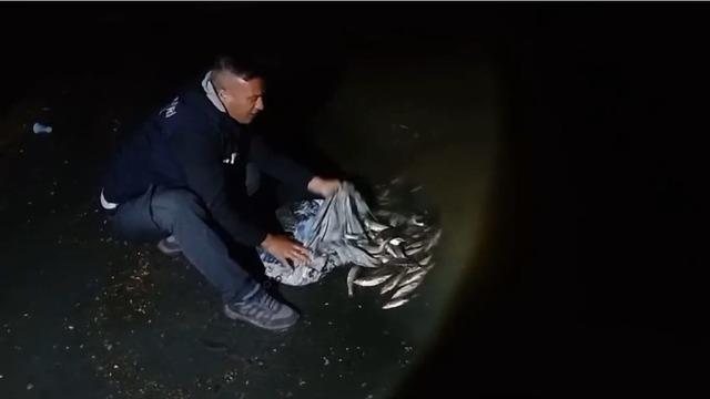 Van'da kaçak inci kefali avlayan kişiye 59 bin 394 lira ceza verildi